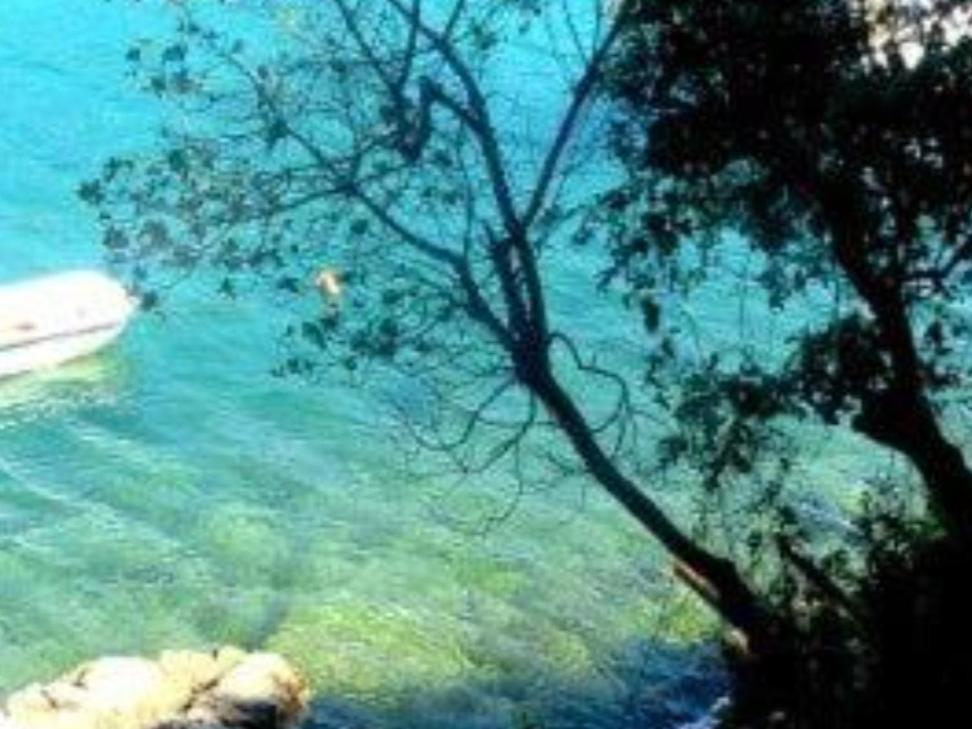 Old Istrian House,Free Parking Apartment Galizana Bagian luar foto